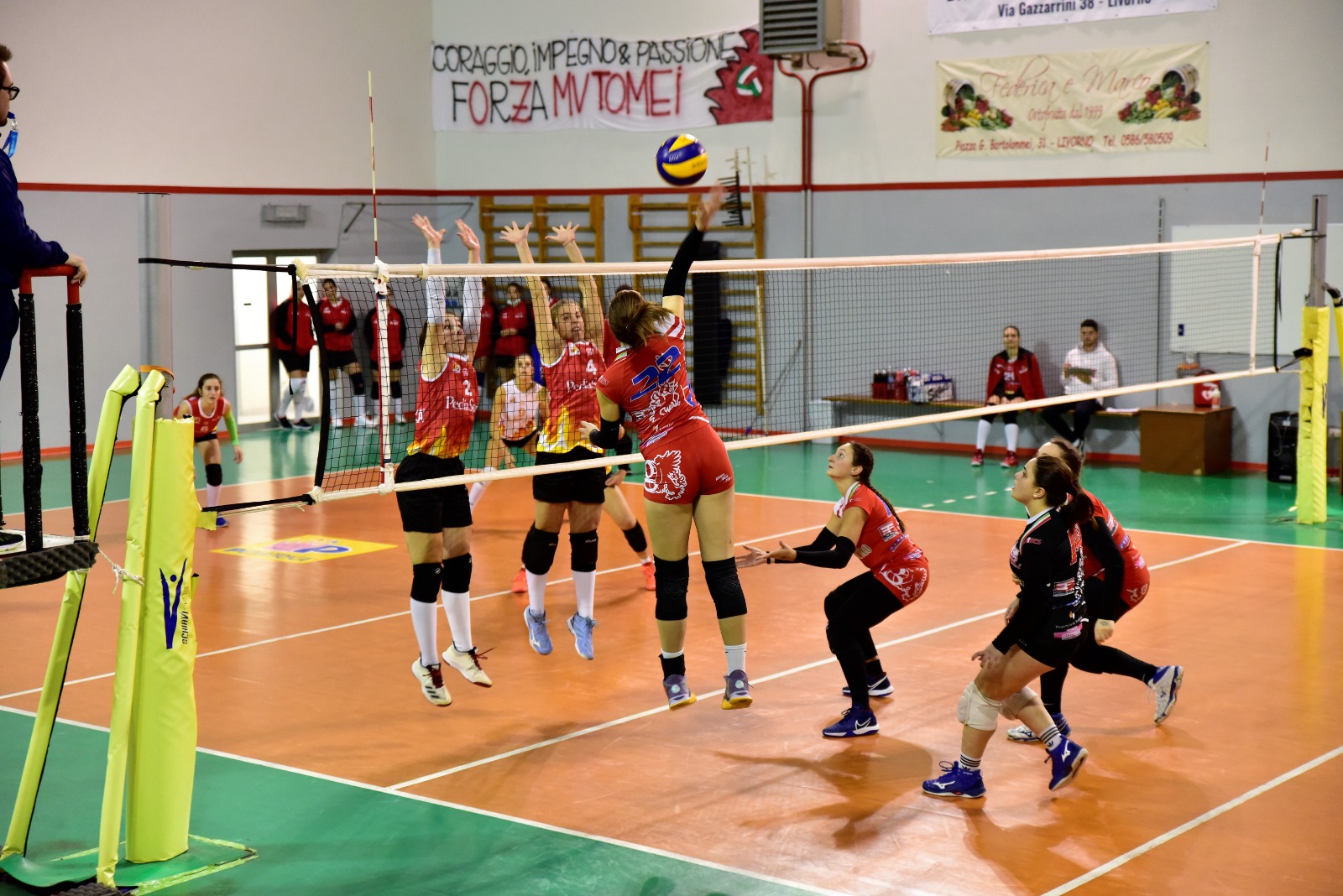 grosseto-volley-school-squadra-serie-D-sara-derasmo-azione-di-gioco