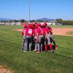 baseball squadra Bsc Grosseto under 15