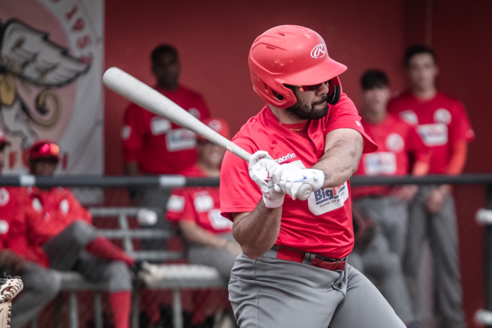 baseball-bsc-grosseto-il-battitore-niccolo-cinelli.