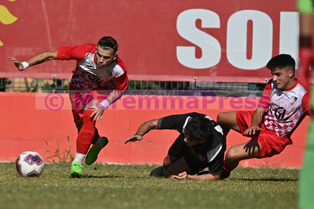 Juniores Invictasauro Cuoiopelli