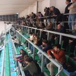 pallavolo grosseto spettatori palazzetto dello sport