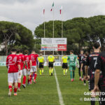 grosseto terranuova