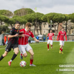 grosseto terranuova