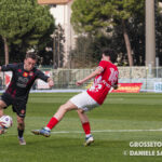 grosseto terranuova