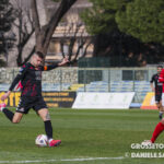 grosseto terranuova