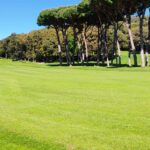 Golf club punta ala1