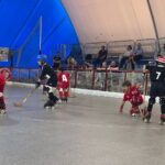 hockey pista circolo pattinatori grosseto Minihockey aprile 2025 (2)
