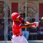 baseball bsc grosseto battitore giugno 2025