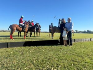 Polo torneo di roma settembre